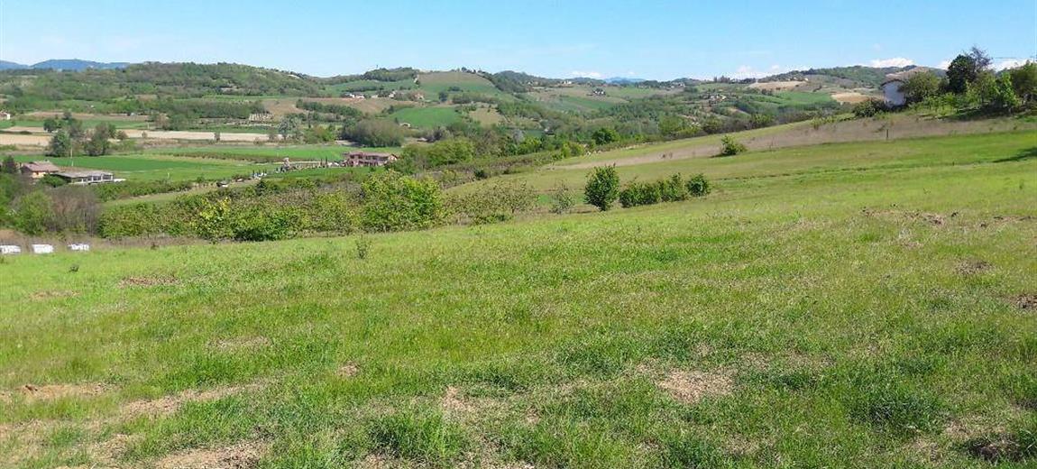 Vendesi terreno agricolo a Viguzzolo 5.670,00 mq