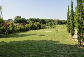Il giardino è con erba Umbria PG Marsciano