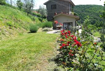 Il giardino è con erba Toscana AR Loro Ciuffenna
