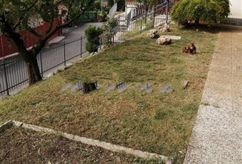 Il giardino è con erba, il pavimento è piastrellato Lombardia BG Endine Gaiano