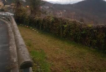 Questo é uno dei terreni che abbiamo (100 mq). Uno dietro di fronte al comune e alla via provinciale 18 , di quasi 500 mq e un altro di bosco di fronte di 1000 mq. 4 parcheggi sulla strada ma in propio terreno.   Emilia-Romagna PC Zerba
