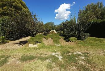 Il giardino è con erba Umbria TR Terni