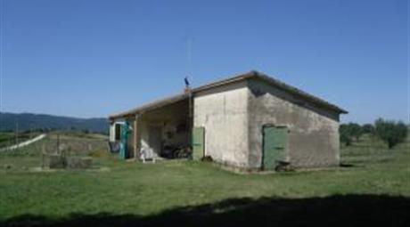 Casa colonica Località Tagliata Pian di Morrano, Ischia di Castro
